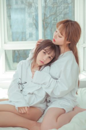 功夫小蝇免费完整版