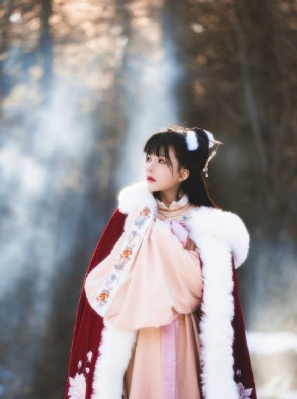 男淦女视频
